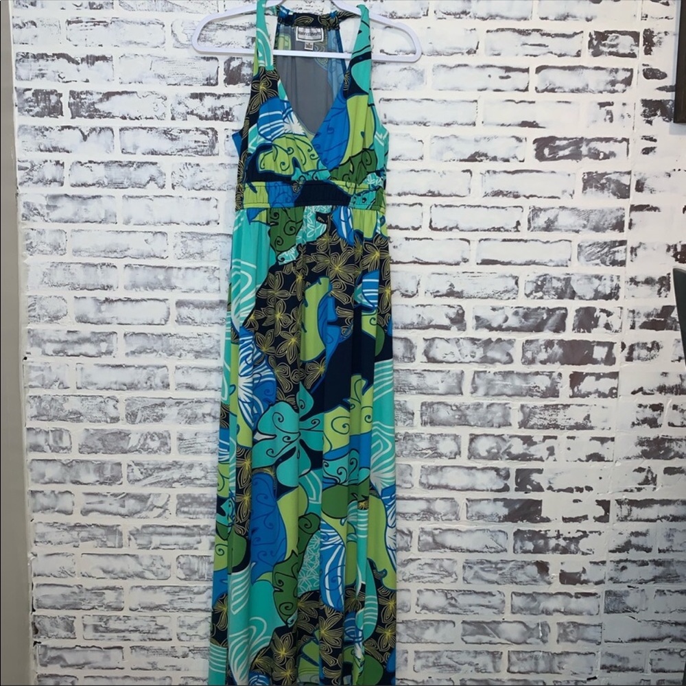 Karin Stevens maxi dress size 6